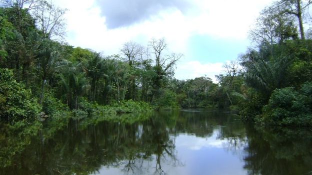 Reserva no Amapá