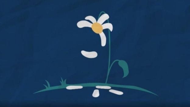 Daisy losing petals. Illustration of loneliness, by Rabia Ali.