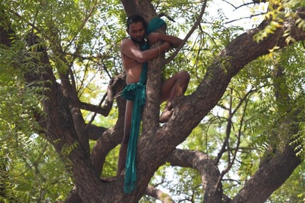 An Indian farmer from Tamil Nadu state climbs a tree in a bid to commit suicide, but was later coaxed down, during a protest in New Delhi on March 15, 2017.