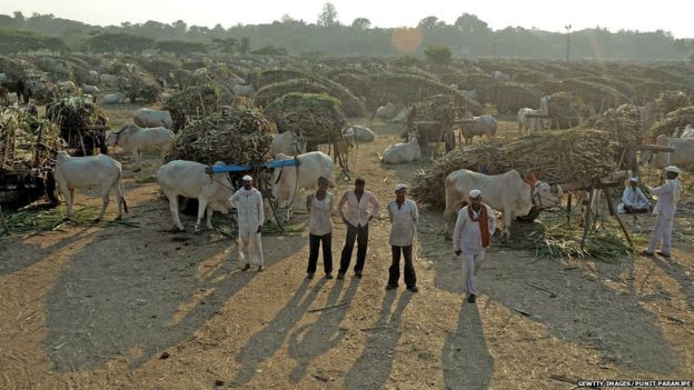 मराठवाड्यातले शेतकरी