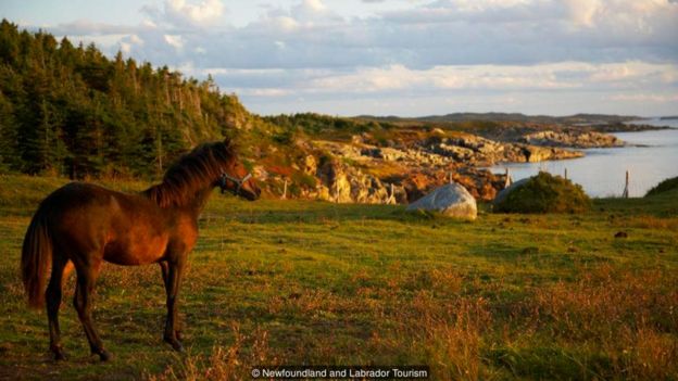 Newfoundland and Labrador Tourism