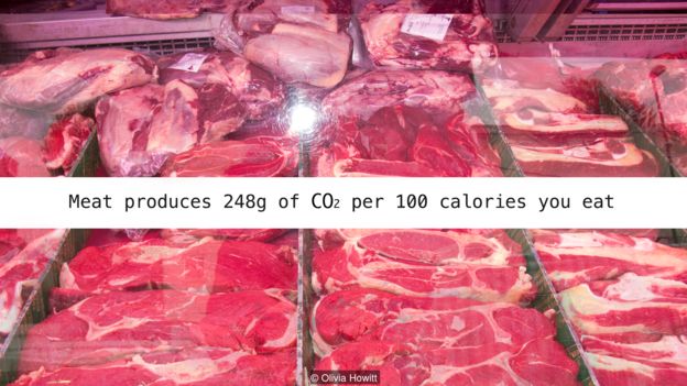 Sữa sản sinh 248g CO2 mỗi 100 calories chúng ta ăn