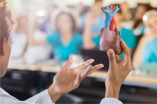 Profesora muestra modelo de corazón humano en una clase de medicina.