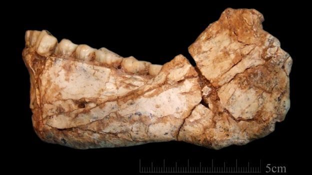 علماء آثار يكتشفون بقايا أقدم إنسان في التاريخ بالمغرب _96390781_f7ef3ac4-59d9-4f12-a6e2-2e33064db2c3