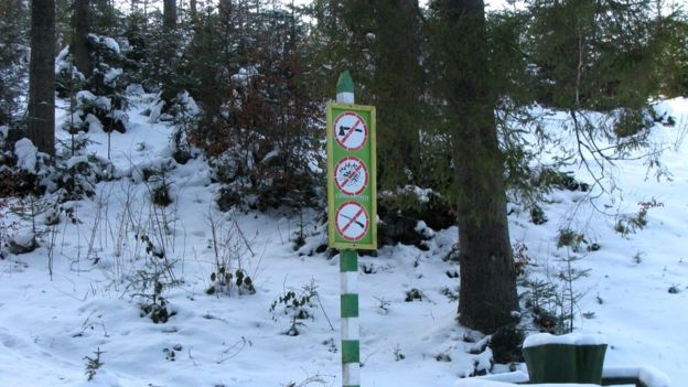 Ліс у Закарпатській області зі знаком про заборону вирубки дерев