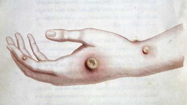 Dibujo de la época de la mano de Sarah Nelmes