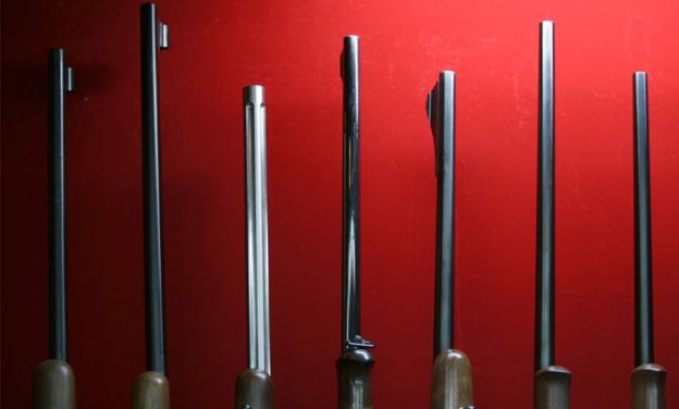 Rifles en una tienda de armas de Japón.