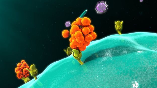 Ilustração mostra os macrófagos em ação