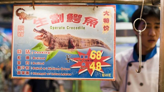 An advertisement for crocodile meat in Guangzhou, China