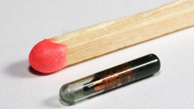 Comparação de tamanho entre palito de fósforo e implante