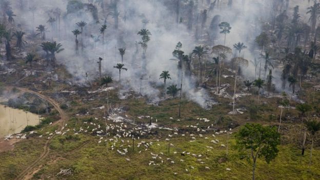 Desmatamento para pasto no Pará em 2009