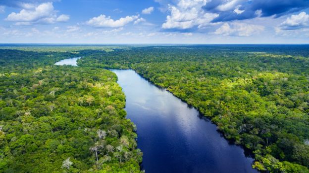 Rio 'cortando' a floresta amazônica