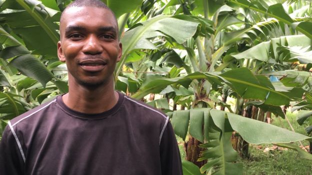 Doença ameaça dizimar bananas pelo mundo - e uma plantação africana busca a resposta 99698432 photo29 11 2017073315 - Doença ameaça dizimar bananas pelo mundo - e uma plantação africana busca a resposta
