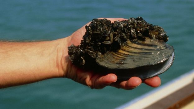 �����ݱ�����Ϊ��һ�ֺ���