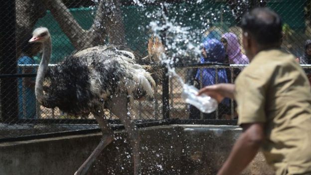 கிண்டி சிறுவர் பூங்கா