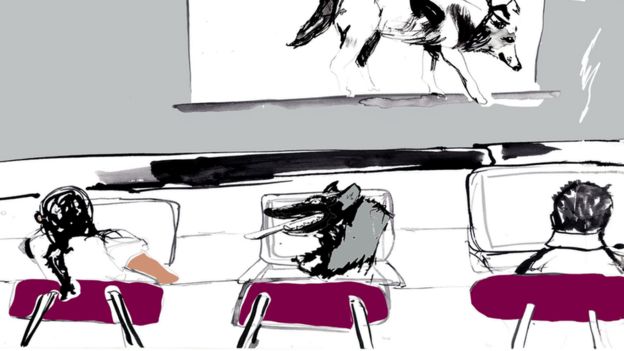 Ilustración de una clase con compañeros lobos. Ilustración de Katie Horwich.