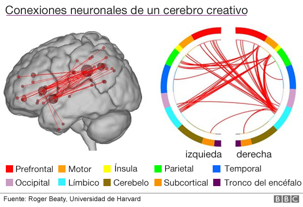 Ilustración de las conexiones neuronales