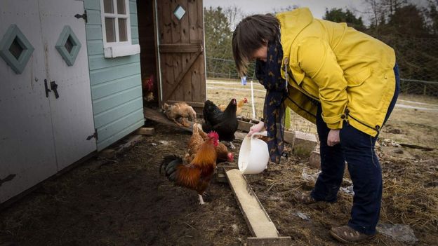 Claire en su granja con gallinas y patos