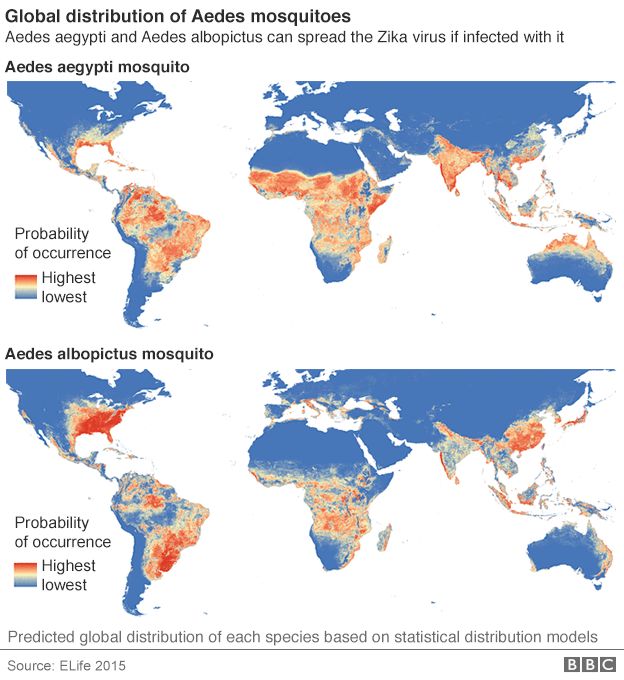 Map of the global distribution of Aedes mosquitoes