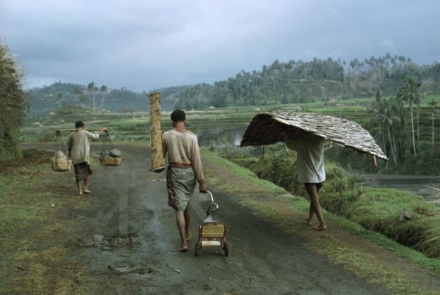 Para pengungsi menyelamatkan barang-barang yang bisa dibawa dari rumah-rumah mereka yang harus ditinggalkan akibat letusan gunung Agung 1963. 