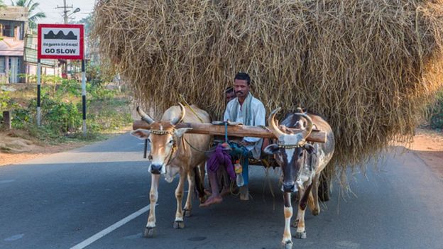 தஞ்சாவூர் விவசாயி (கோப்புப்படம்)