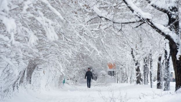 An Afghan man walks along a path under snow-laden trees in Kabul, 2017