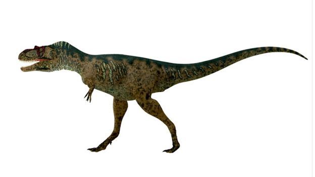T Rex was scaly, not feathery