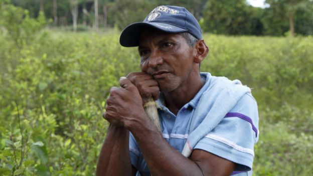 Campesino rodeado de coca (Foto: Natalio Cosoy/ BBC Mundo)