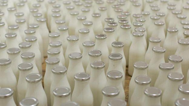 Botellas de leche