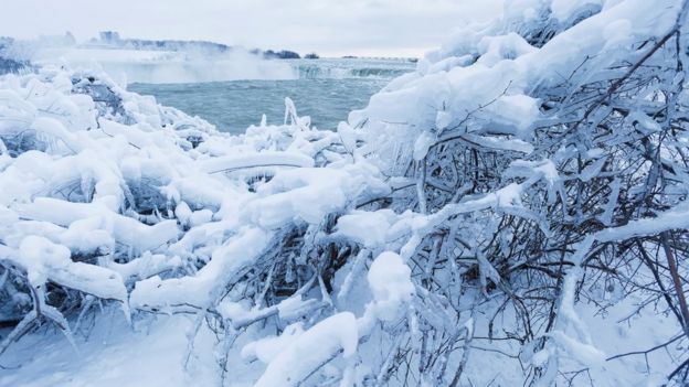 Ice and snow cover branches near the brink of the Horseshoe Falls in Niagara Falls, Ontario, Canada