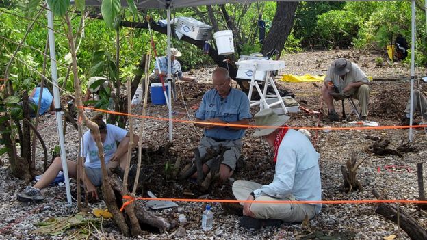 Ric Gillespie e sua equipe realizam escavações em Nikumaroro