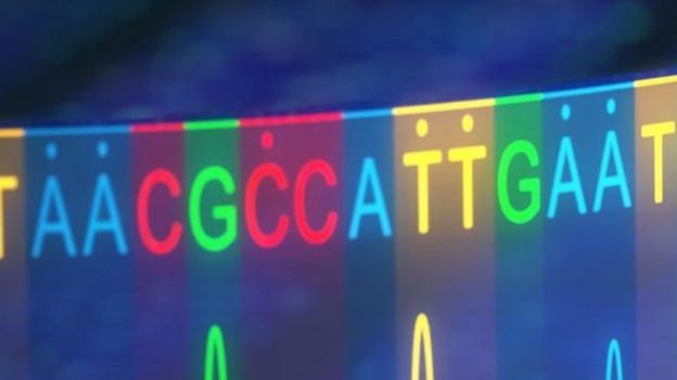 DNA, genetika