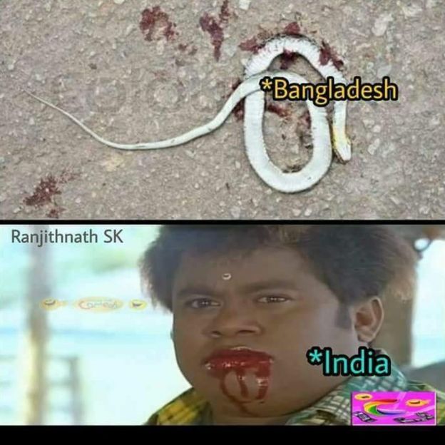 பாம்புகளுக்கு பாலூட்டிய இந்திய அணி - வைரலாகும் கிரிக்கெட் மீம்கள்