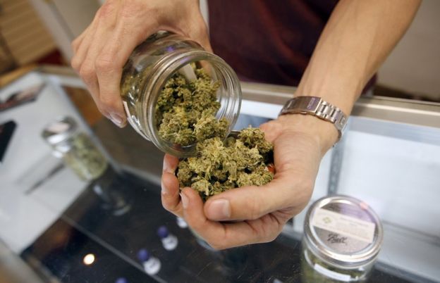 Um vendedor pesa maconha para fins de uso médico em Los Angeles
