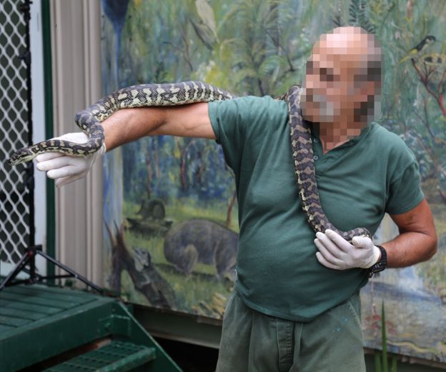 L'un des 14 animaux du centre de prise en charge des espèces sauvages