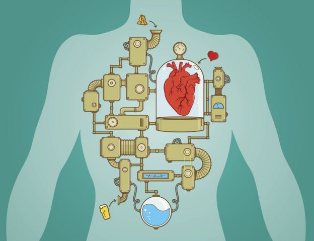 Corazón