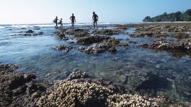 பாதுகாக்கப்பட்ட பழங்குடியினர்