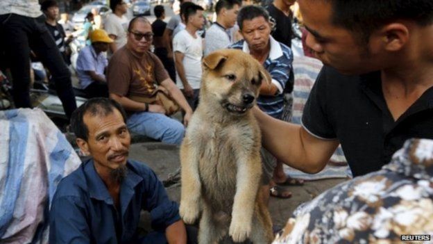China inaongoza duniani kwa ilaji wa nyama ya Mbwa na Paka
