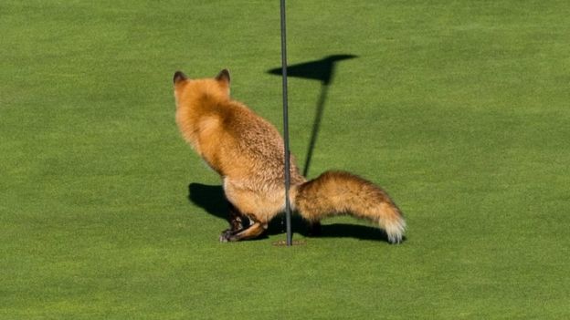 photo: Douglas Croft.