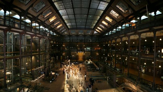 Museo Nacional de Historia Natural en París