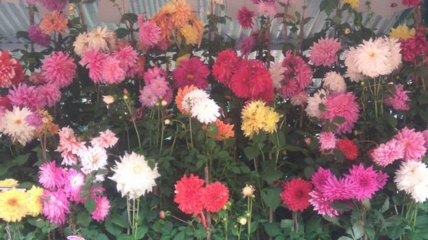 ஊட்டியில் 122 வது மலர் கண்காட்சி