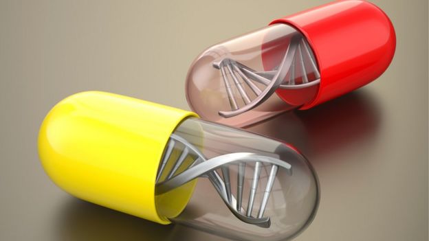 Haplar ve DNA