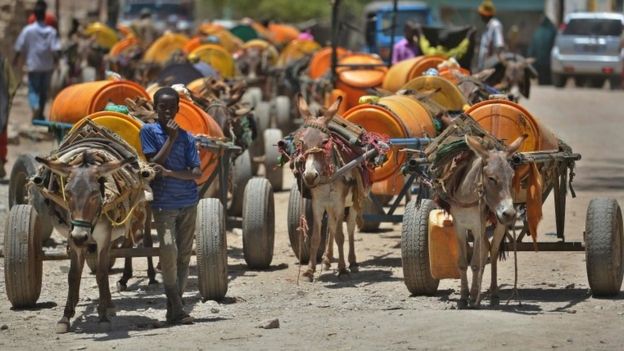 A young boy waits next to his donkey-cart to fill drums with water before selling it on March 15, 2017 in Baidoa, in the southwestern Bay region of Somalia, where the spread of cholera has claimed tens of lives of internally displaced people fleeing the parched countryside