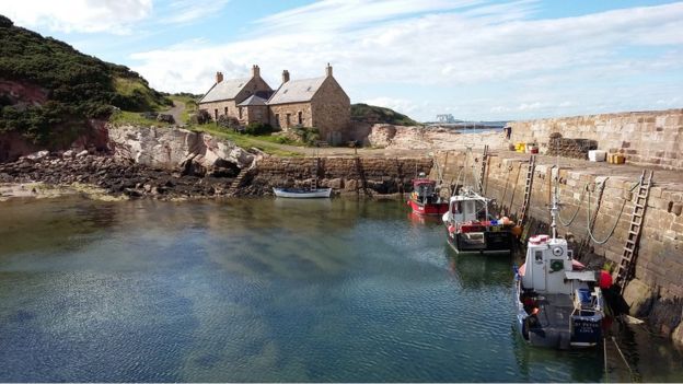 Cove Harbour near Cockburnspath