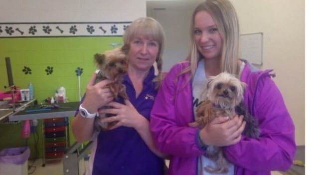 Dog groomers Lianne and Ellie Kent in Queensland with Pistol (left) and Boo on 14 May 2016