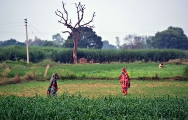 एक गाँव