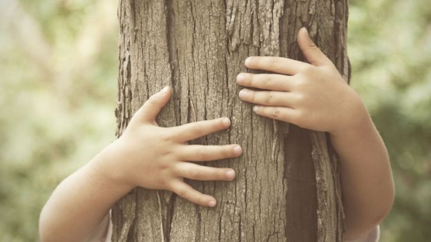Manos de un niño abrazando un árbol