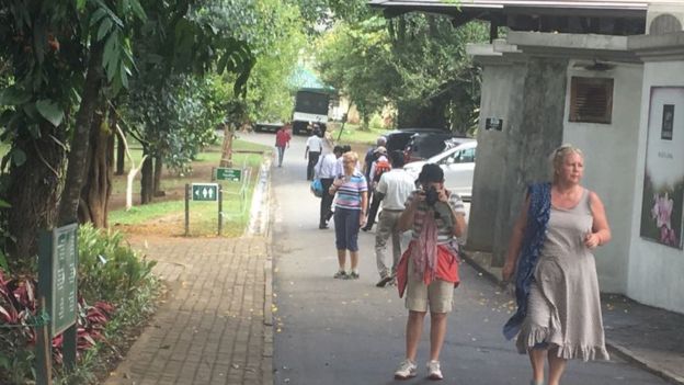 கண்டி கலவரங்கள்: சுற்றுலாத் துறைக்கு பாதிப்பா?#Groundreport