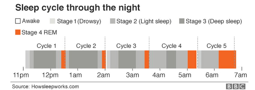 sleepcycle through the night from awake to drowsy to light sleep, deep sleep, REM sleep and back