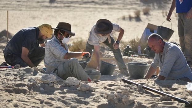 pesquisadores escavando em Al Wusta